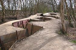 This site is now one of the few places on the battlefields where an original trench