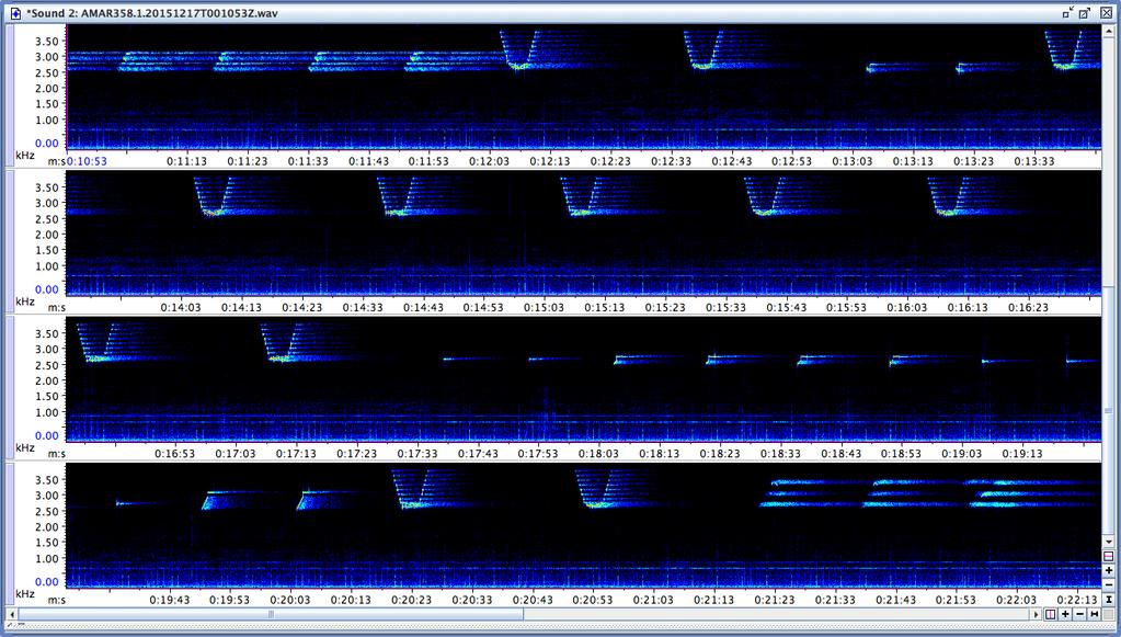 2.3 Sonar analysis A wide variety of sonar signals was recorded by the AMARs during the deployment. An example is shown in Figure 5 