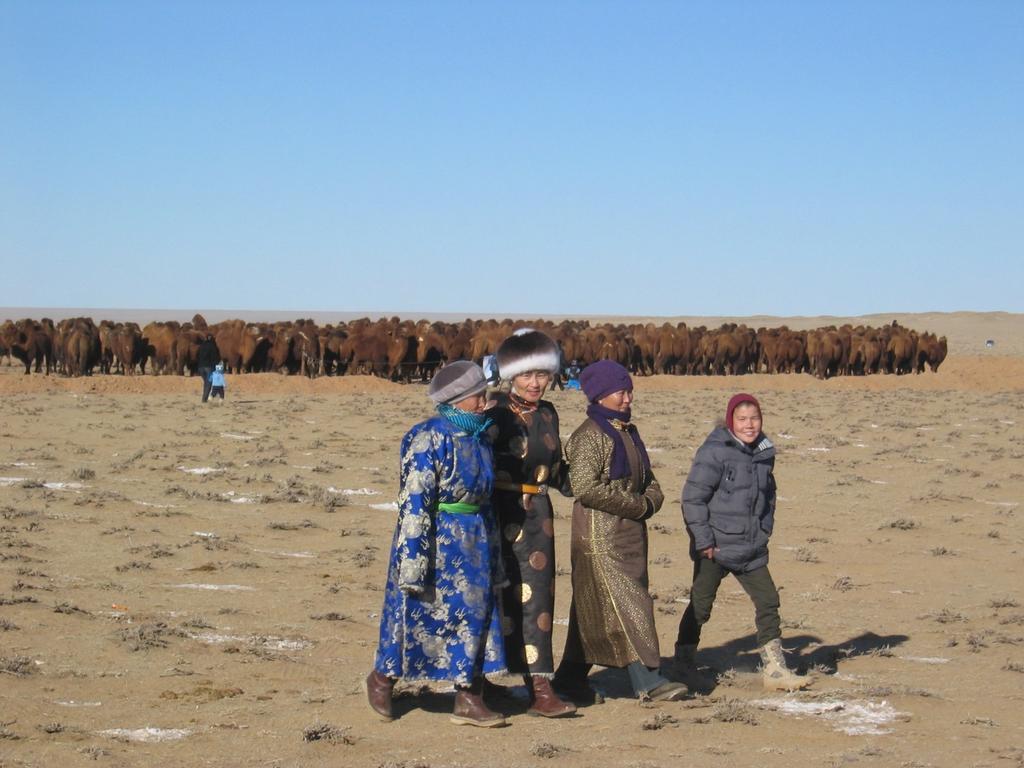 Oyu Tolgoi Joint Fact-Finding (JFF) Oyu Tolgoi is a copper and gold mine in the Southern Gobi region, Mongolia. Complaint filed with CAO in February 2013 by nomadic herders.