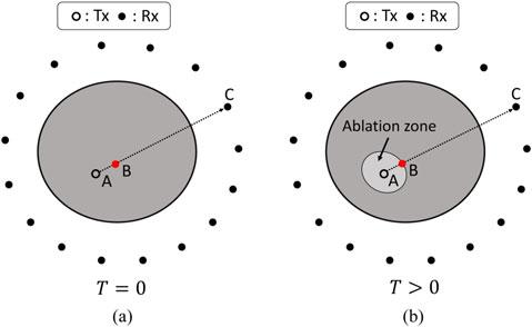 2 shouhei kidera et al. monitoring [16], which exploits the time difference of arrival (TDOA) between transmitted signals recorded before and at a specific time point during the ablation.