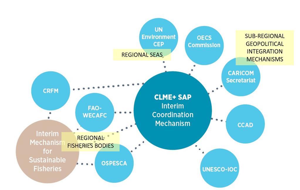 The CLME+ SAP Interim Coordination Mechanism (ICM) was created with the support of the CLME+ Project.