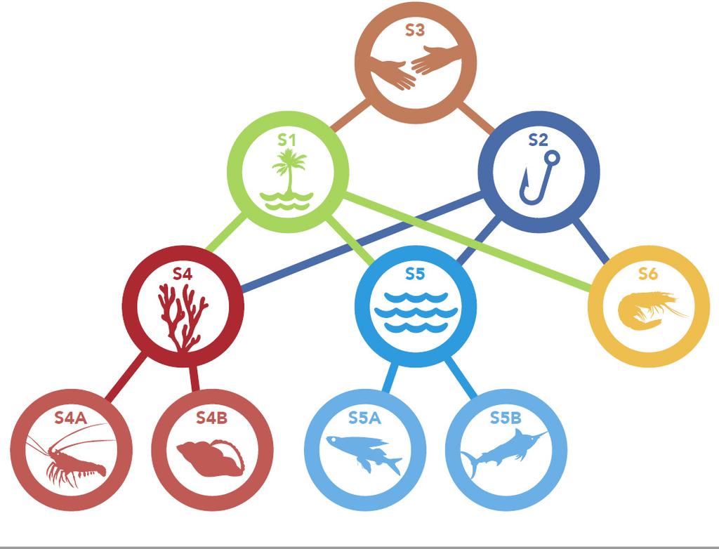 The CLME+ SAP: Region-wide Priorities for the Sustainable Management of shared Living Marine Resources, structured under 6 Strategies and 4 Sub-Strategies in a politically endorsed 10-year Action