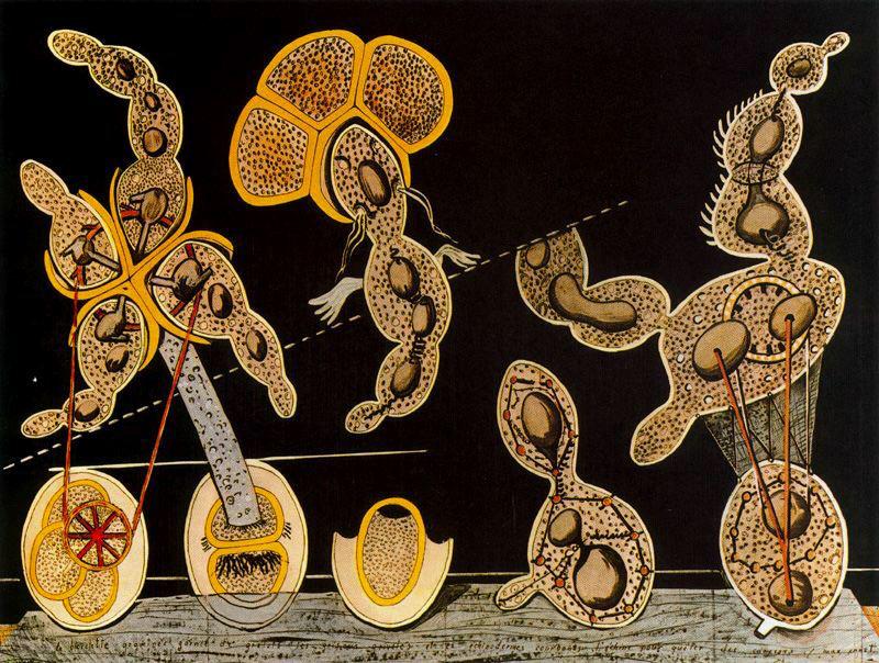 The Gramineous Bicycle is an example of an early collage, in which Ernst overpainted a botanical chart into abstracted elements.