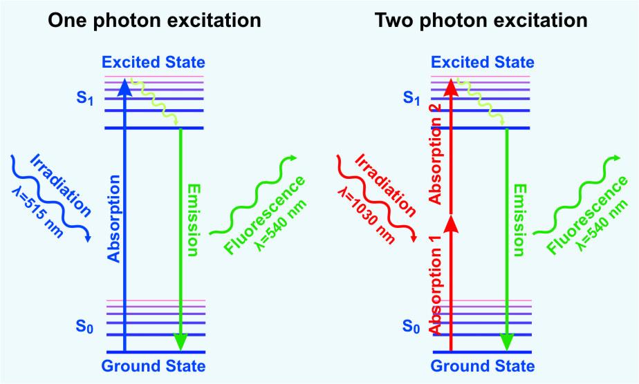 Laser Microscopy Longer wavelength penetrates