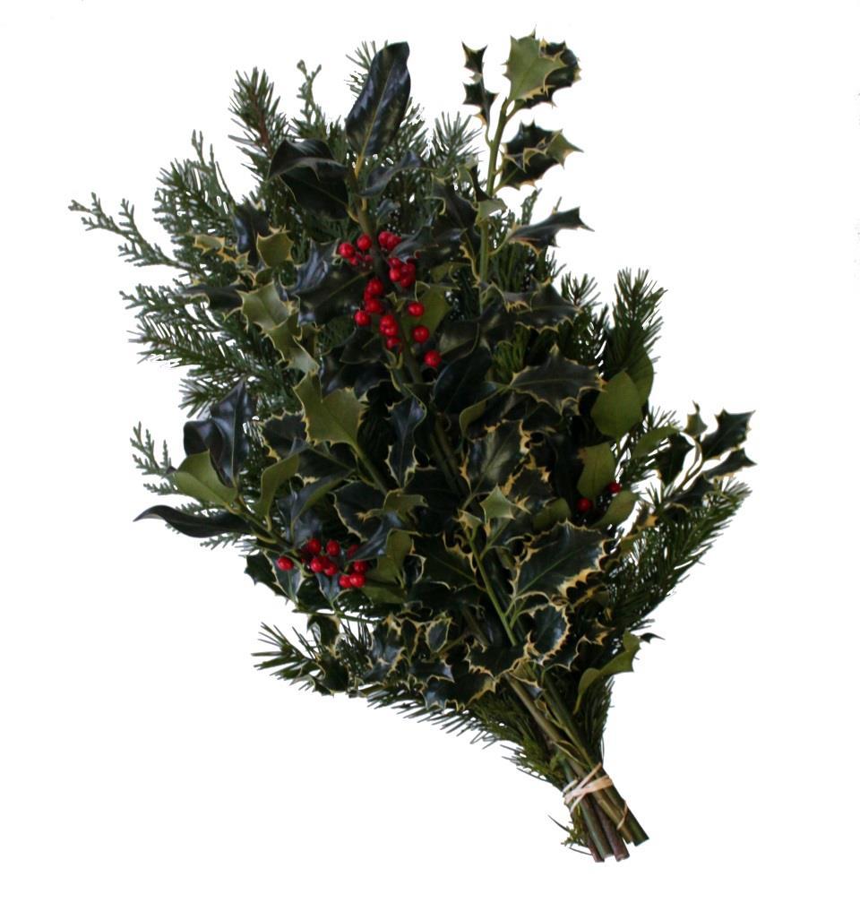 Evergreen Holly Bouquet Assortment of Douglas Fir, Cedar, Green and Variegated Holly. Holly is very traditional. Products with holly are not readily available at other venues.