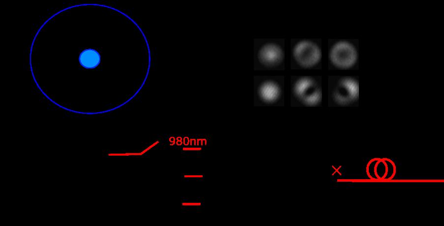 The 3 spatial mode selective photonic lantern was first spliced to a 3-mode GIF. The losses for LP01 and LP11 mode are 0.4 db and 1.