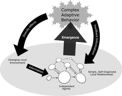 Complex Adaptive Systems Control tends to be dispersed and decentralised Overall behaviour of the system is the result of many decisions made constantly by