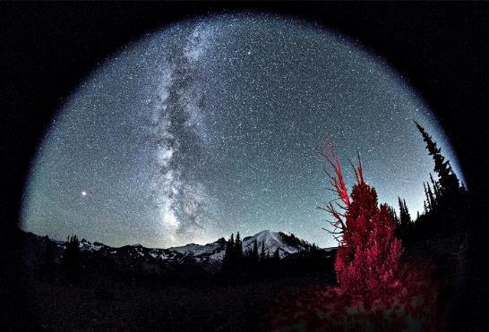 By Steve Martin Milky Way and Red Hot Brush