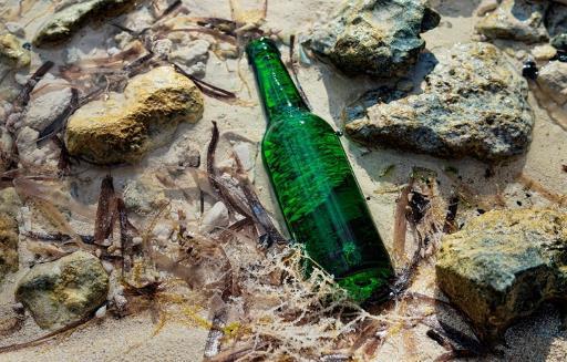 Beer Bottle Beach Bahama By Lon Howard Print Evaluation, Sept 17 2018 General Blue Darner the Fall Emil Heinze 1st Immigrant Children Protest Jeanette Kelso 2nd Tie Truck Fire by Pizza Hut Steven