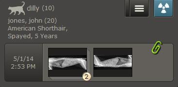 Finding a Patient and Opening an Image To find the patient record and view an image: 1. In the Home window, click a time period, and then select a filter, such as a species.