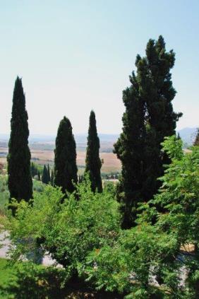 Tuscany of Leonardo and Michelangelo Luxury Tuscany Events GmbH Tuscany of Leonardo and Michelangelo 3-days tour Do you remember the first time you saw one of Leonardo s or Michelangelo s