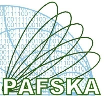 PAFSKA Developing PAFs for the SKA Collaborative program of Phased Array Feed R&D for the SKA.