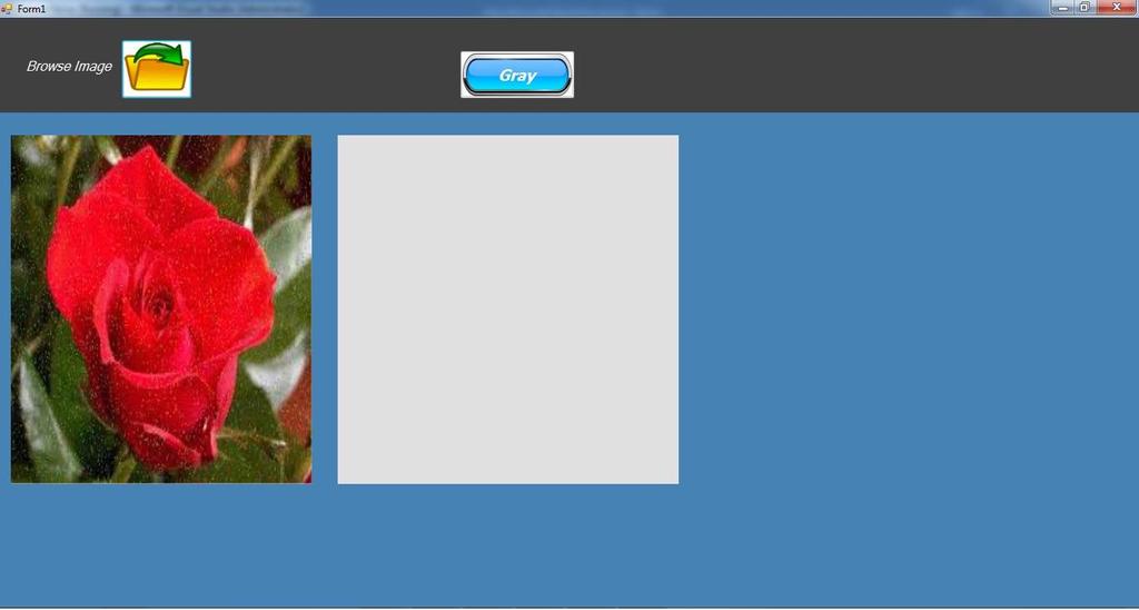 Fig.4: Image With Noise When Gray button is clicked the image will get converted into gray scale image and this