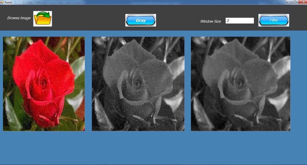 Once the given browsed image is converted into gray scale image then next step is to remove noise from image.