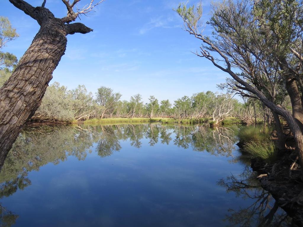 The Kimberley, Western Australia David & Vicki Bryant May-June 2015 Introduction The Kimberley lies in the extreme north of Western Australia between Broome-Derby and Kununurra.