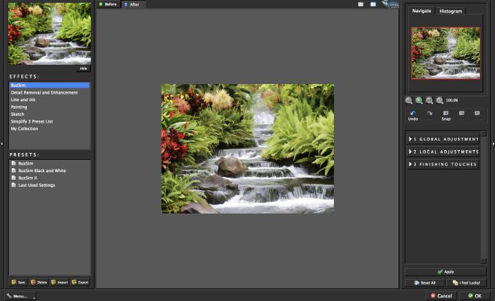 Workflow 3. To begin working on your image go to Filters -> Topaz Labs -> Simplify 4. 4. Once your image loads, use the zoom tools to zoom in on a specific part of your image.