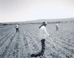 Who are the Migrant Workers? Before technology created farm machinery, humans had to do a lot of the farm work by hand.