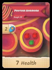 HORMONE Cards There are two different types of Hormone Cards: Protein Hormones (red background) and Steroid Hormones (blue background).