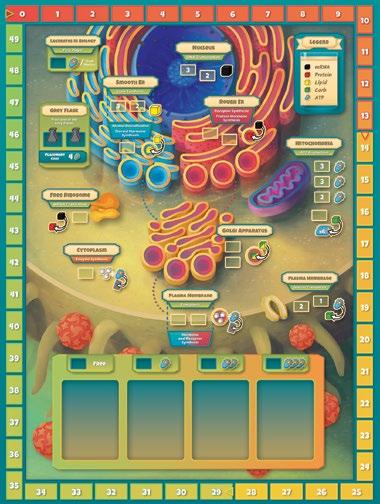 CYTOSIS: A CELL BIOLOGY GAME A worker placement game inside a human cell for 2-5 players GAME SUMMARY Cytosis is a worker placement game that takes place inside a human cell.