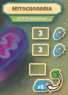 If a player places on the spot marked with a 1, they pay 1 ATP from their personal resource stock and receive 1 green Carbohydrate resource.