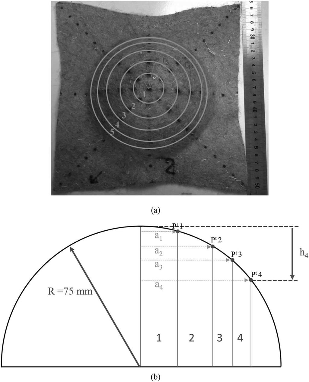 Fig. 11. Local surface area measurement for deformed hemispherical ply. magnitude in comparison to the one measured during the tensile tests.