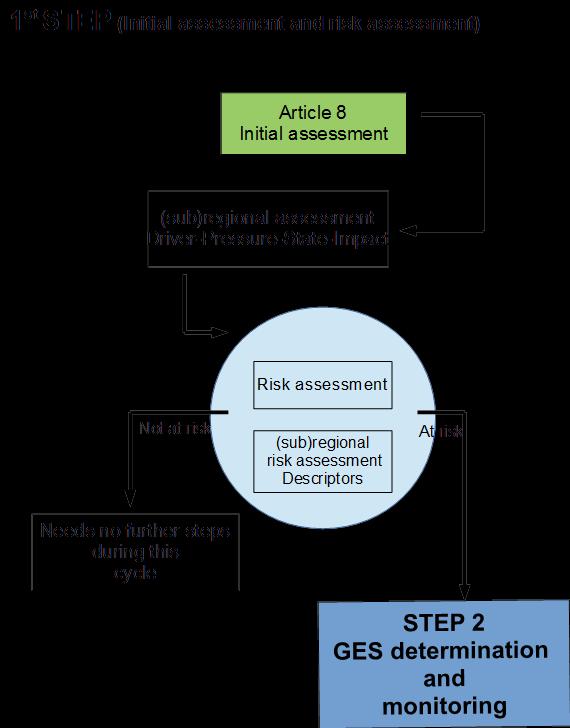 Step 1 Initial assessment and Risk Assessment The first step - initial assessment should be done according to the requirements that are established in Article 8 of the MSFD.