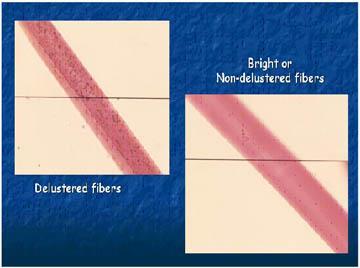 Fiber Comparisons Microscopic Comparisons Color Diameter