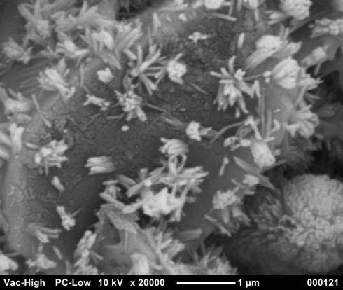Realistic high magnification Table Top SEM 20,000 by secondary electron (SE) image in high vacuum JCM-5000 goes up to 20,000 and shows realistic