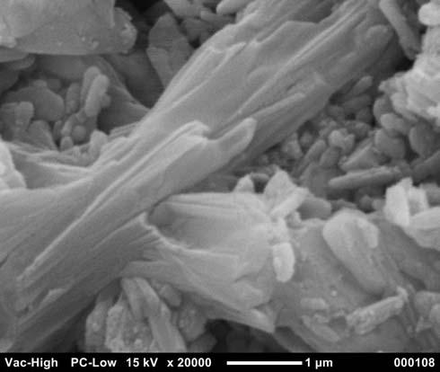 Cement crystals are growing on sand grains. Gold conductive coating has been applied by a sputter coater.