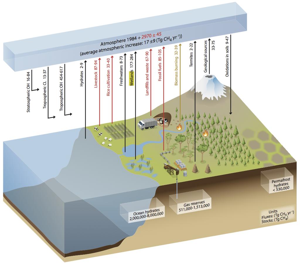 Global Methane Cycle Contributions to Atmospheric Methane Wetlands (177-284 Tg/yr) Fossil Fuels (85-105 Tg/yr) Livestock (87-94 Tg/yr) Landfills (67-90 Tg/yr) Wetlands has largest contribution