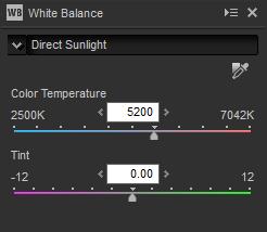 Tint can be set to values between 12 and +12: choose lower values for less green and more magenta, higher values for the opposite effect.