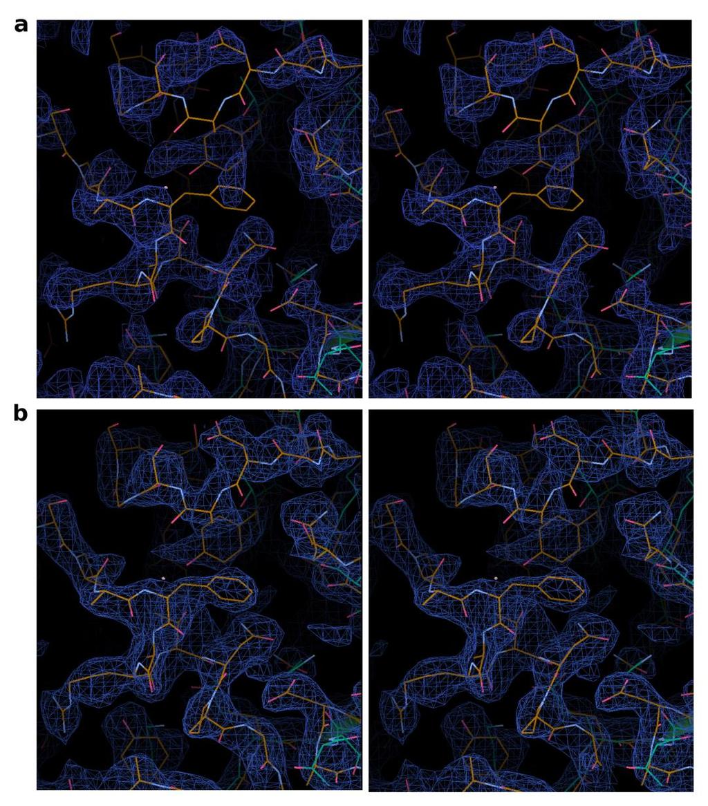 Supplementary Figure 10 BEV2 phase refinement. Stereo images of the electron density map around the south wall of the canyon before (a) and after (b) phase refinement by cyclic averaging.