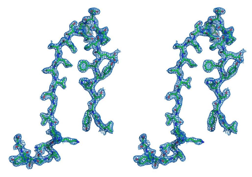 Supplementary Figure 12 Stereo view of CPV18 electron density map.