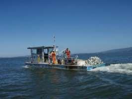 Columbia River Estuary Juvenile Salmon Surveys Samples collected April to June 2010-2012 Deep water