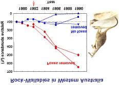 Biology 11:890-904) Impacts of introduced predators Next Class Preventing loss of biodiversity Conserving Biodiversity an