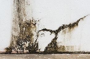 Type of Surfaces Surface Preparation - 1 Cracked and/or chalky surface as a result of poor and degraded coating applied.