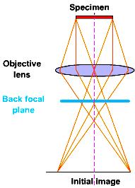 Figure: objective lens imaging, back focal plane and image plane 7. Adjust fine focus and OBJ STIG if necessary. 8. Press PHOTO when STOP is lit to lift the screen and take a image by using CCD. X.