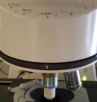 If your sample is in a culture dish, you will have to place a microscope slide into the microscope slide spot and place your sample on top of the slide 4.