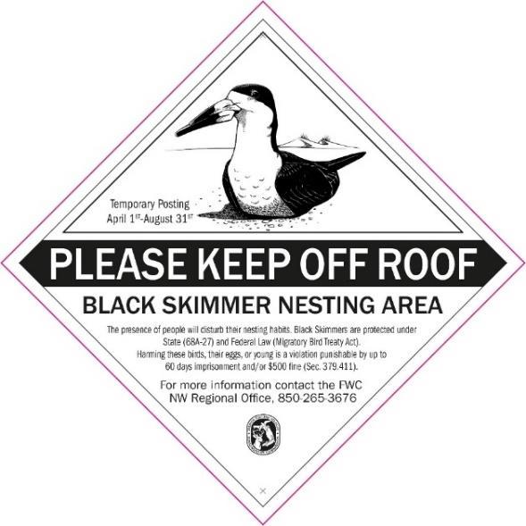 HOW TO RECOGNIZE A ROOFTOP WITH NESTING SEABIRDS Least Terns, Black Skimmers, and other seabirds nest in large groups called colonies.