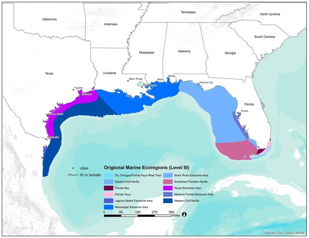 Estuarine Area, Southwest Floridian Neritic, Eastern Gulf Neritic, Mississippi Estuarine Area, Texas Estuarine Area, Laguna Madre Estuarine Area, and Western Gulf Neritic ecoregions (Figure 3).
