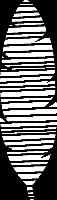 2 cm Striped Grosgrain Ribbon; 3.