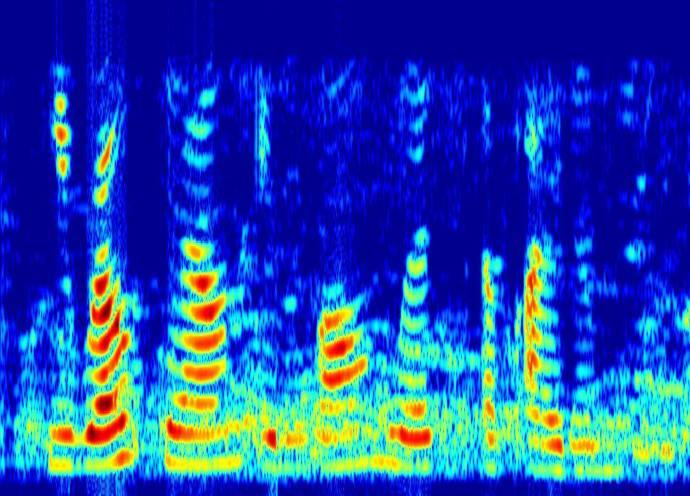 noisy signal with db babble noise; spectrograms of