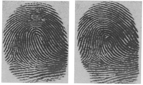 Matching in Biometrics Two deceivingly