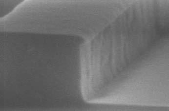 Figure 3. Scanning Electron Micrograph of photonic wire waveguides. etched with the standard etch process for Silicon, using the photoresist as an etch mask, and using a 40nm thin SiO 2 hard mask.