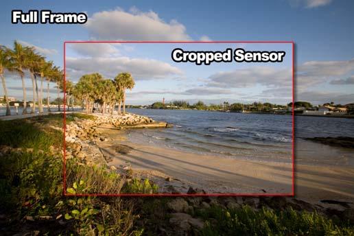 Full frame High end DSLRs' and mirrorless cameras' image sensors are the same or
