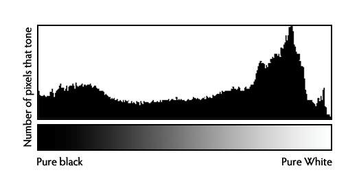 A histogram skewed toward the light or dark side of the range can indicate if your picture will be too contrasty, dark, flat or overexposed.