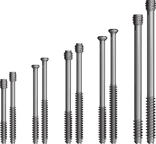 Introduction Product Information The ExtremiFix Midsize I Large Cannulated Screw system offers screws in 4.5 mm, 5.5 mm and 6.