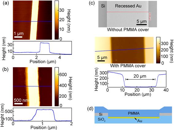 Figure S4. (a) AFM image of an etched SOI waveguide prior to coating with PMMA. A crosssection of the topography is shown in blue. (b) AFM image of a PMMA-on-Au DLSPP waveguide.