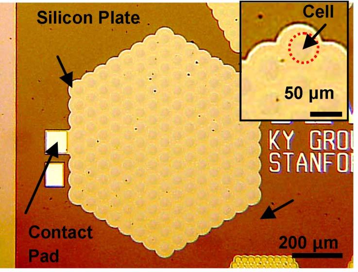 Figure 1. Photograph of the CMUT consisting of 169 cells, electrically connected in parallel. The vacuum cavities under the 500-nm-thick silicon plates are visible. Figure 2.