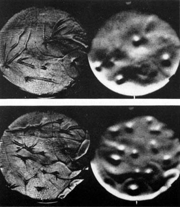 Students learn about and set-up a seldom-seen application of schlieren imaging: reflection